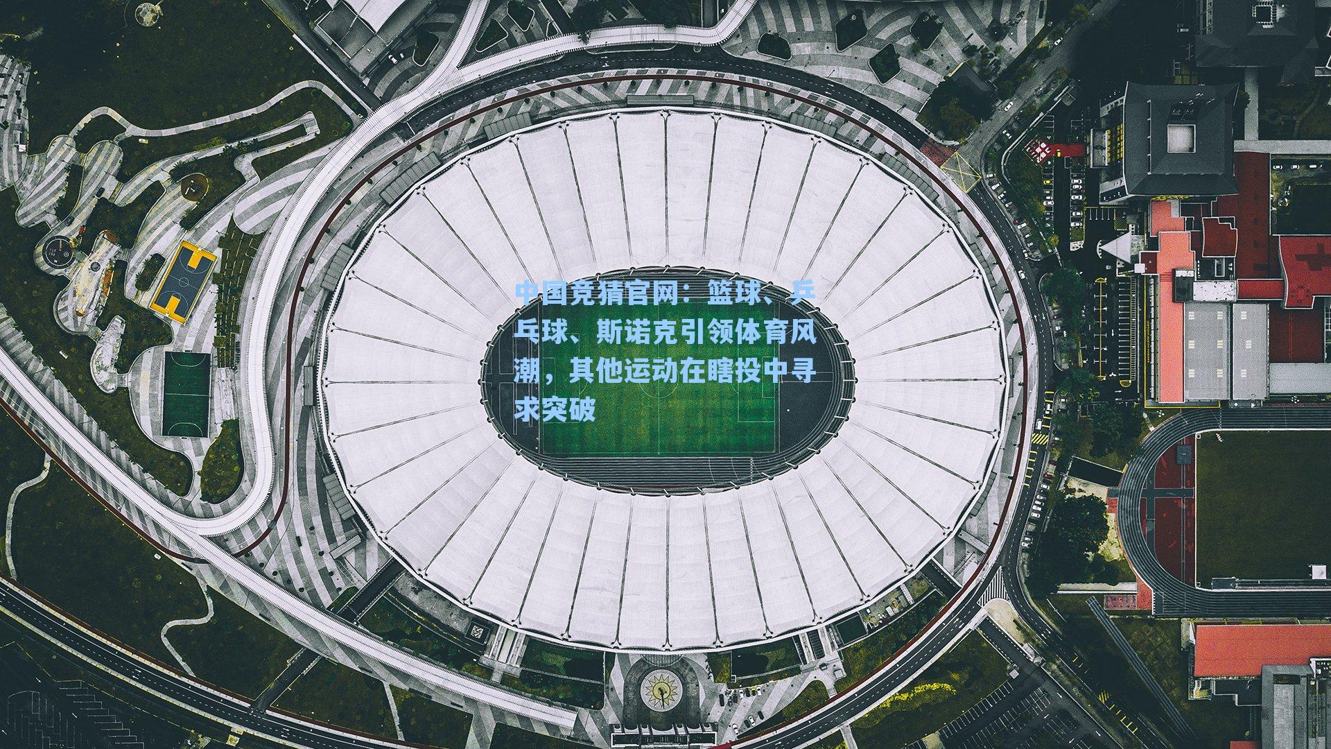 篮球、乒乓球、斯诺克引领体育风潮，其他运动在瞎投中寻求突破